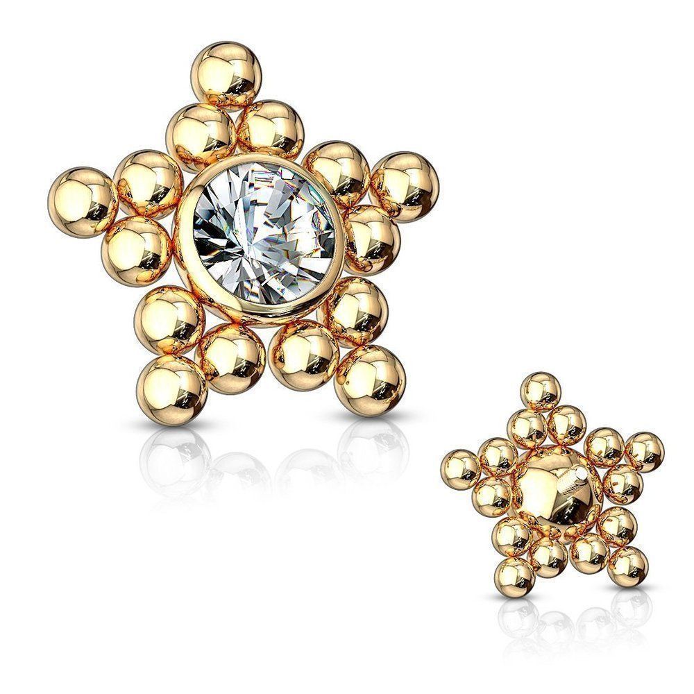 Surgical Grade Stainless Steel Dermal Star